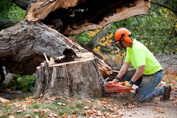  Coweta, OK Tree Service Pros